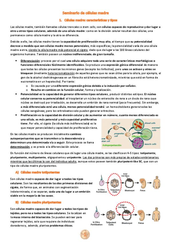 Miniatura del documento S2.-Celulas-madre.pdf