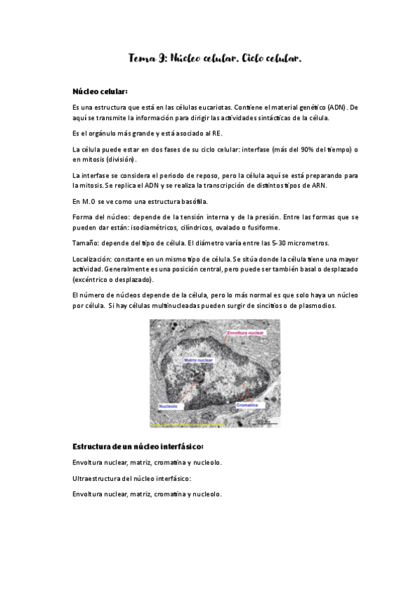 Miniatura del documento tema-9-nucleo-celular.pdf