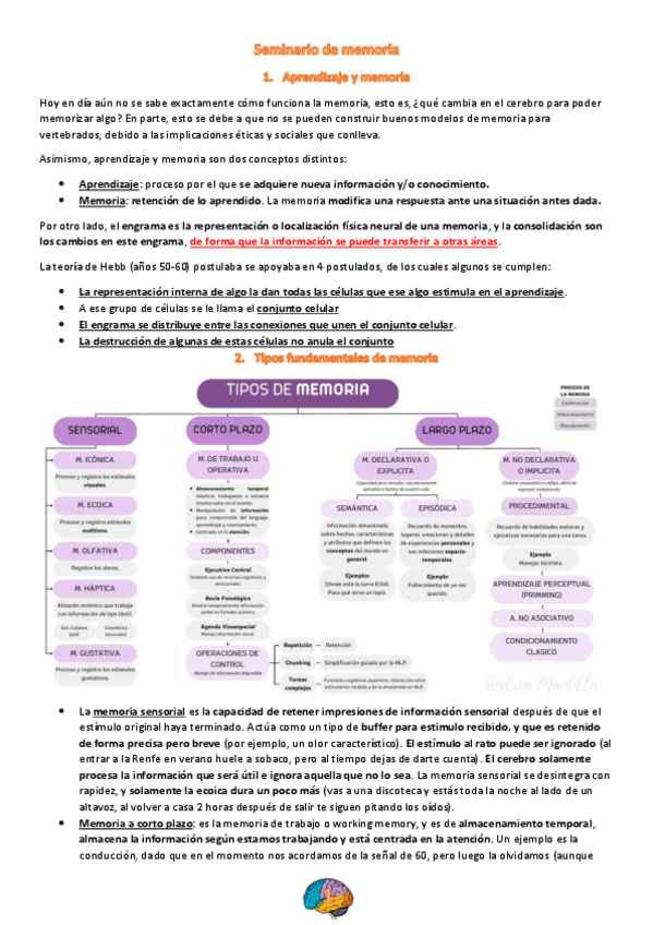 Miniatura del documento S4.-Memoria.pdf