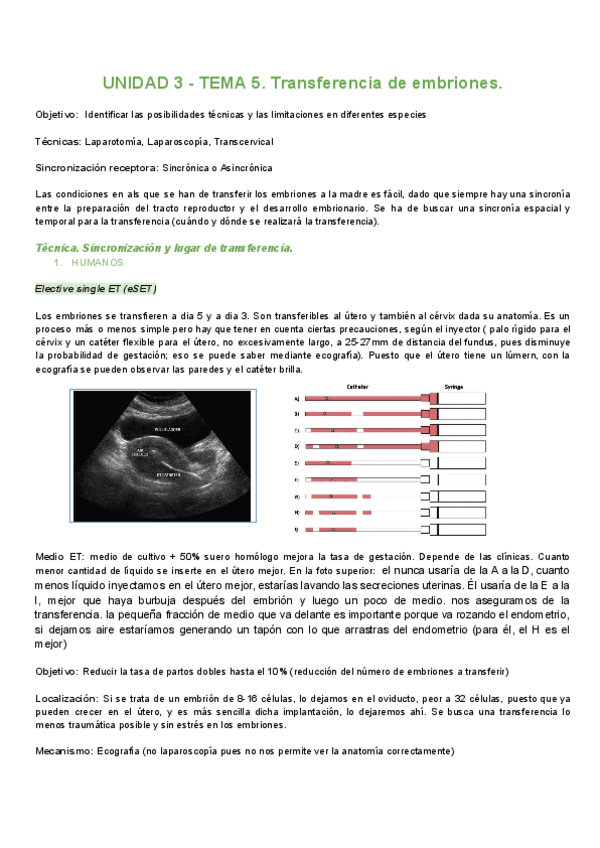 Miniatura del documento UNIDAD-3-TEMA-5.pdf