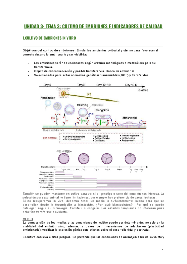 Miniatura del documento UNIDAD-3-TEMA-3.pdf