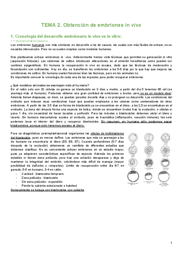 Miniatura del documento UNIDAD-3-TEMA-2.pdf