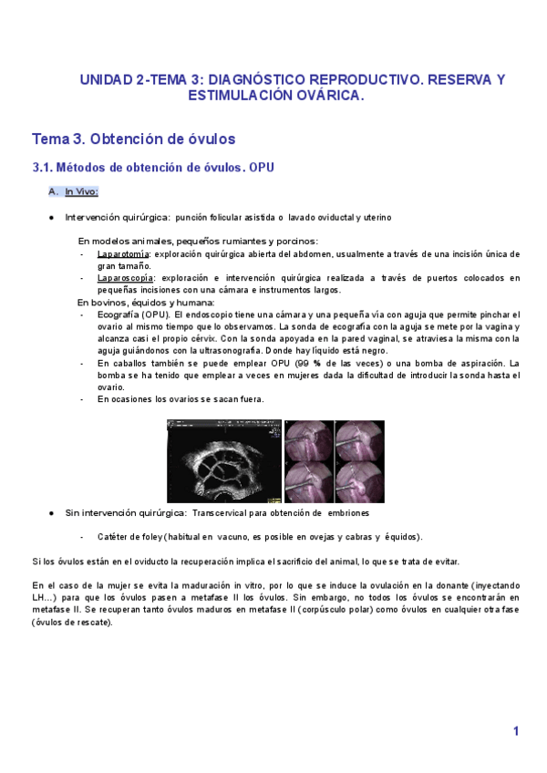 Miniatura del documento Unidad-2.-Tema-3-Obtencion-de-ovulos.pdf