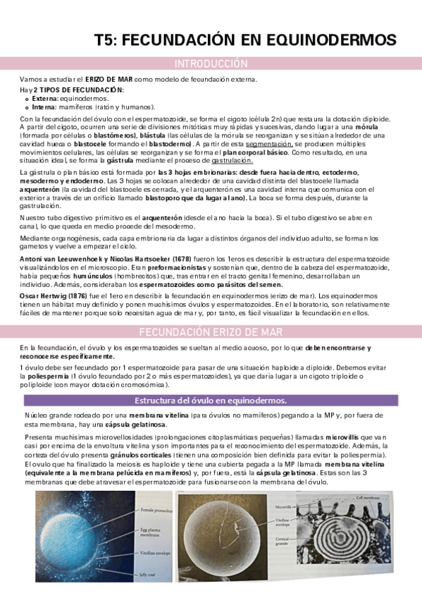 Miniatura del documento TEMA-5.pdf