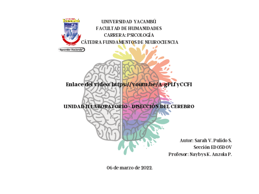 Miniatura del documento Diseccion-de-cerebro-video-enlace.pdf