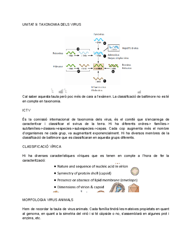Miniatura del documento UNITAT-9-TAXONOMIA-DELS-VIRUS.pdf