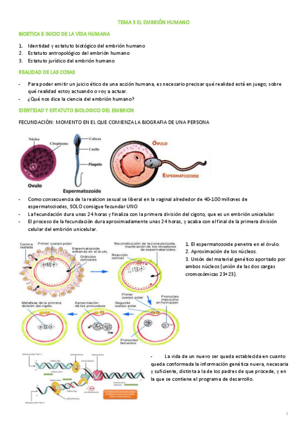 Miniatura del documento TEMA-3-BIOETICA.pdf