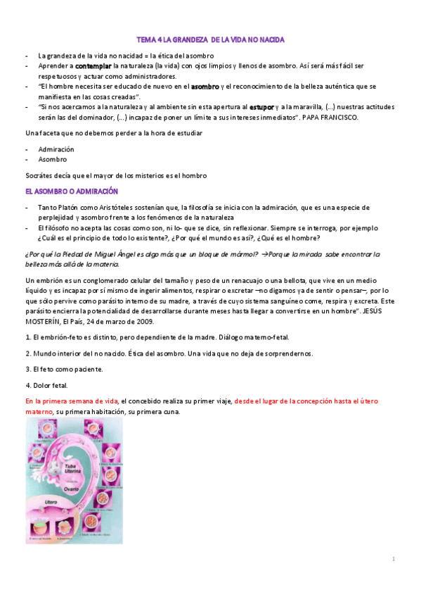 Miniatura del documento TEMA-4-LA-GRANDEZA-DE-LA-VIDA-NO-NACIDA.pdf