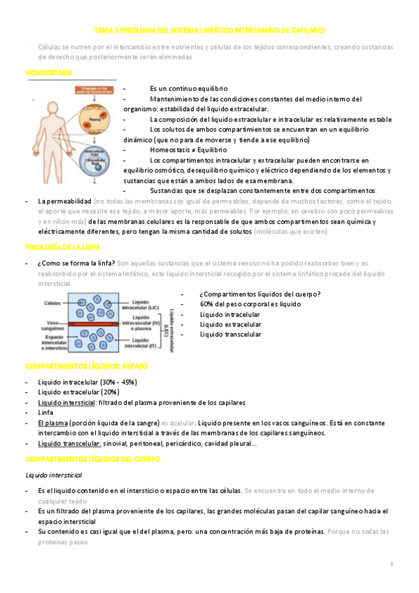 Miniatura del documento TEMA-5R-FISIOLOGIA-INTERCAMBIO.pdf