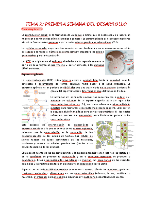 Miniatura del documento Tema-2.pdf