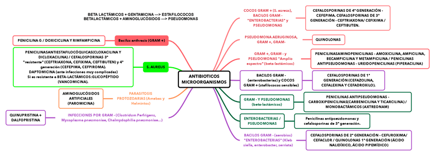 Miniatura del documento ANTIBIOTICOS-MICROORGANISMOS.pdf
