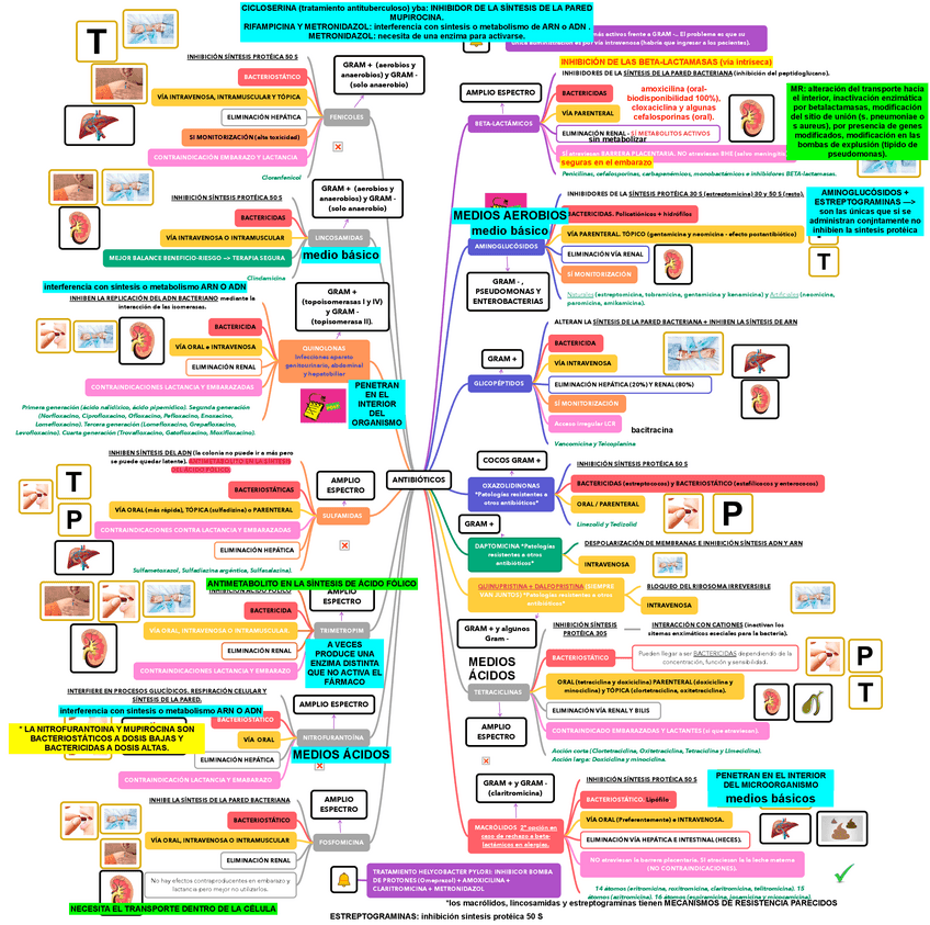 Miniatura del documento ANTIBIOTICOS.pdf
