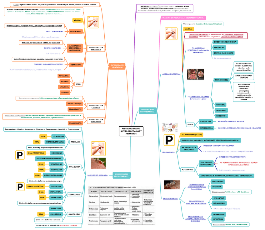 Miniatura del documento ANTIPARASITARIOS-ANTIPROTOZOARIOS-Y-HELMINTOS.pdf