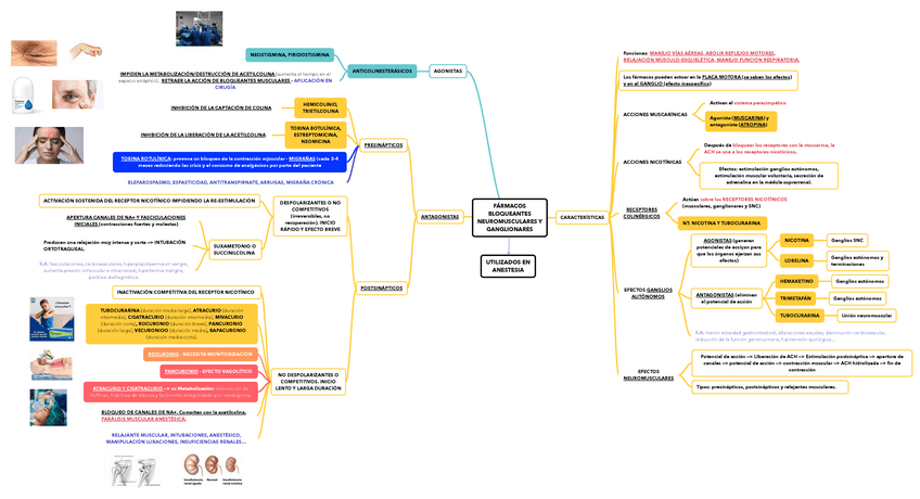 Miniatura del documento FARMACOS-BLOQUEANTES-NEUROMUSCULARES-Y-GANGLIONARES.pdf