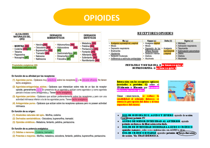 Miniatura del documento OPIOIDES.pdf