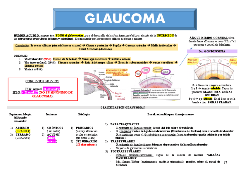 Miniatura del documento T4.-GLAUCOMA.pdf