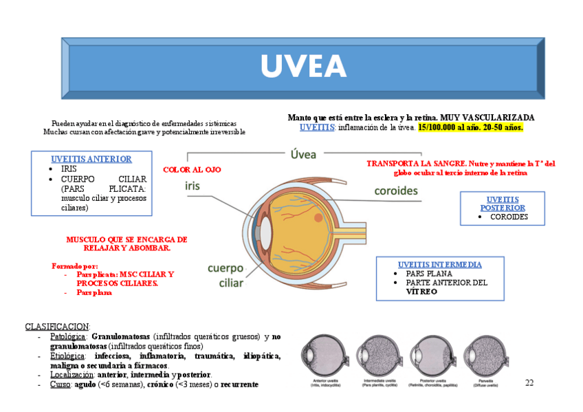 Miniatura del documento T5.-UVEA.pdf