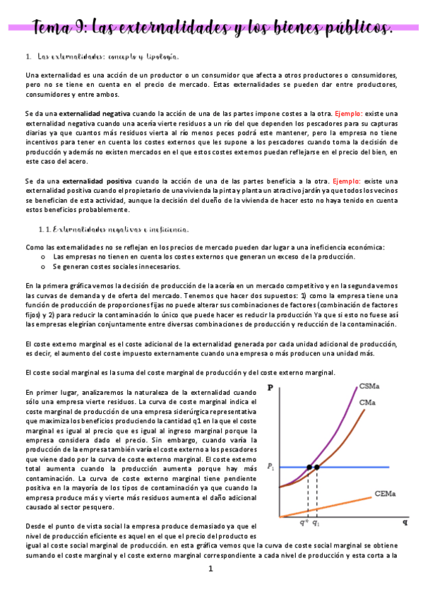 Miniatura del documento tema-9-micro.pdf