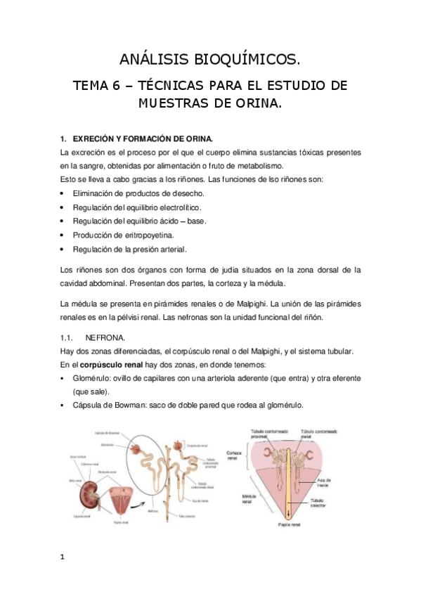 Miniatura del documento Tema-6-Analisis-bioquimicos.pdf