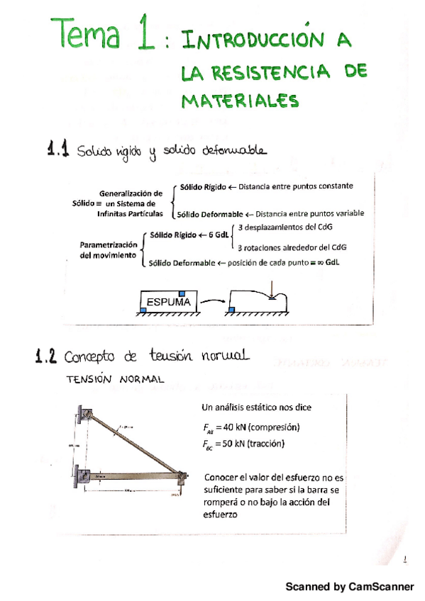 Miniatura del documento TEMARIO COMPLETO.pdf