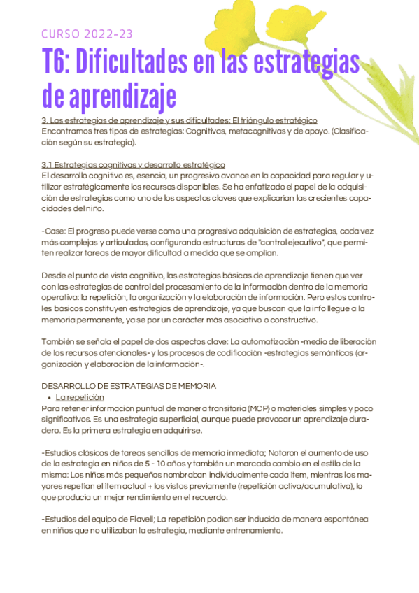 Miniatura del documento T6-Dificultades-en-las-estrategias-de-aprendizaje.pdf