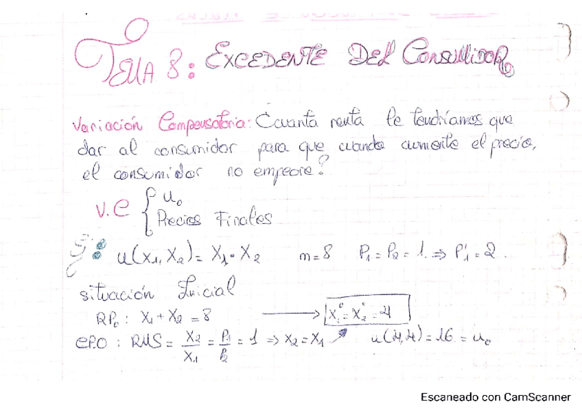 Miniatura del documento Tema-8-Micro-1.pdf