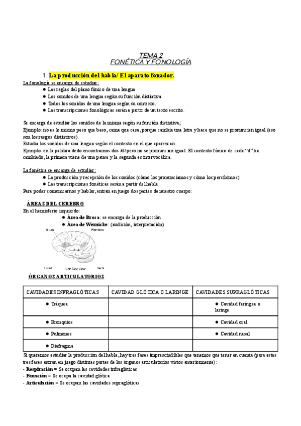 Miniatura del documento Tema-2-Fonetica-y-fonologia.pdf
