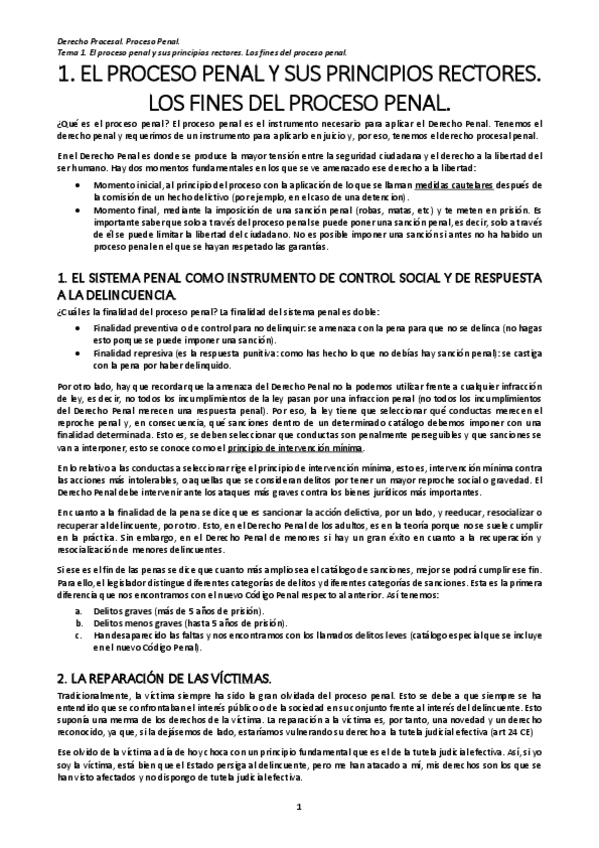 Miniatura del documento TEMA-1.-EL-PROCESO-PENAL-Y-SUS-PRINCIPIOS-RECTORES.pdf