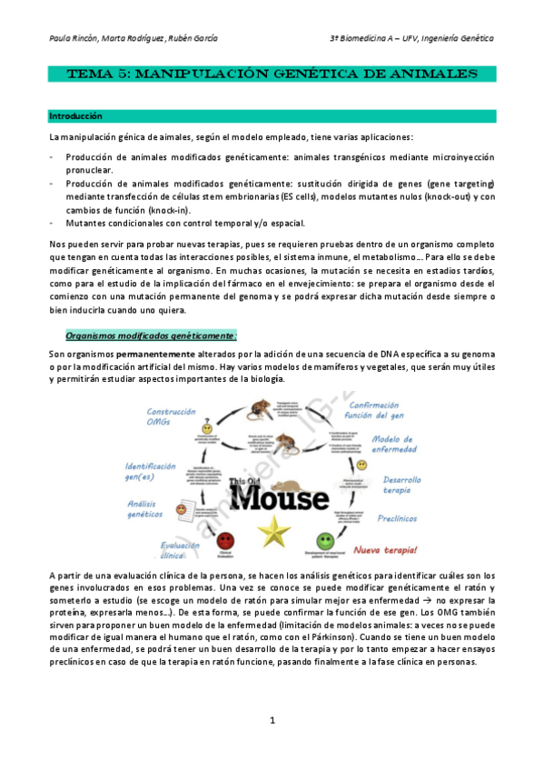 Miniatura del documento Ingenieria-Genetica-tema-5.pdf