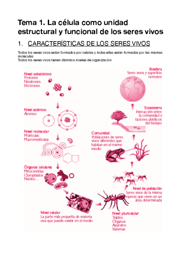 Miniatura del documento Tema-1.-La-celula..pdf