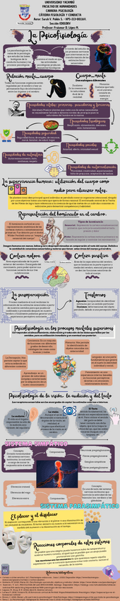 Miniatura del documento Infografia-psicofisiologia.pdf