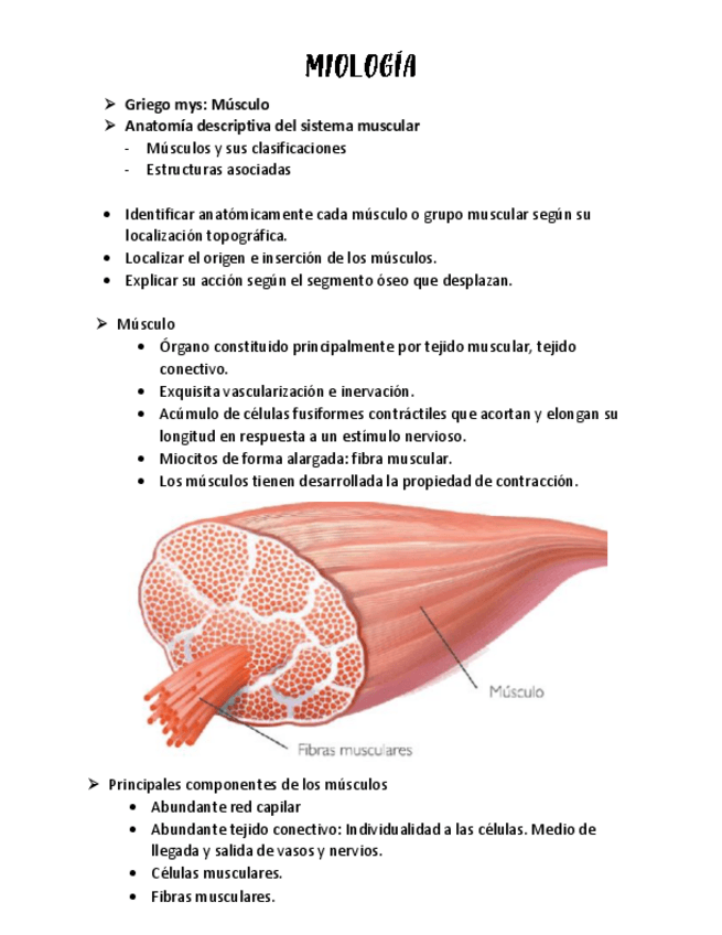 Miniatura del documento MIOLOGIA.pdf