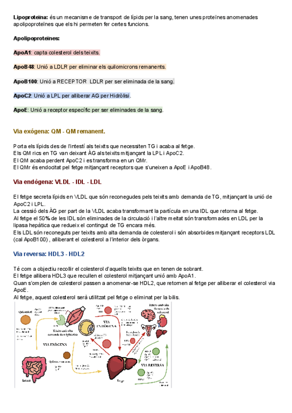 Miniatura del documento Resum-10.03.pdf