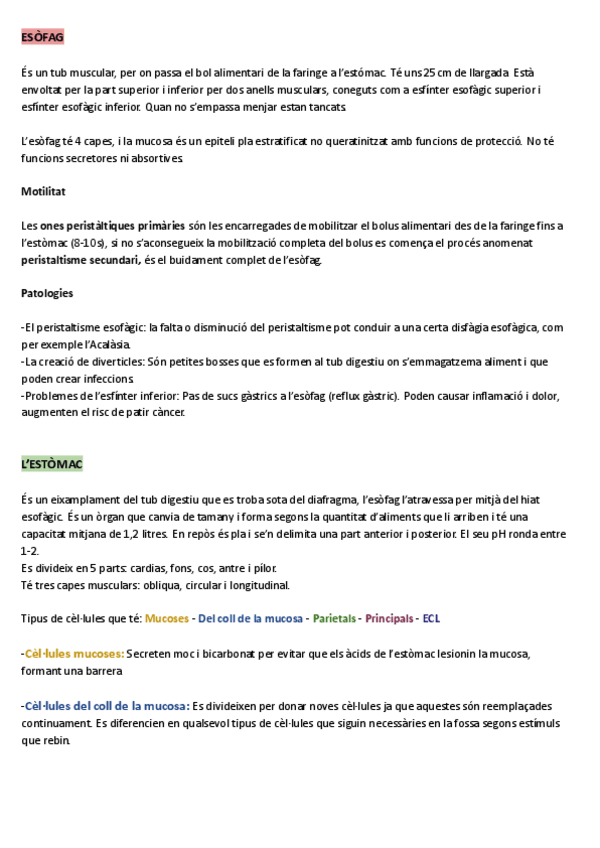 Miniatura del documento Resumen-Esofago-estomago-y-pancreas.pdf