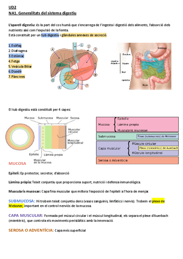 Miniatura del documento Resumen-Sistema-digestivo.pdf