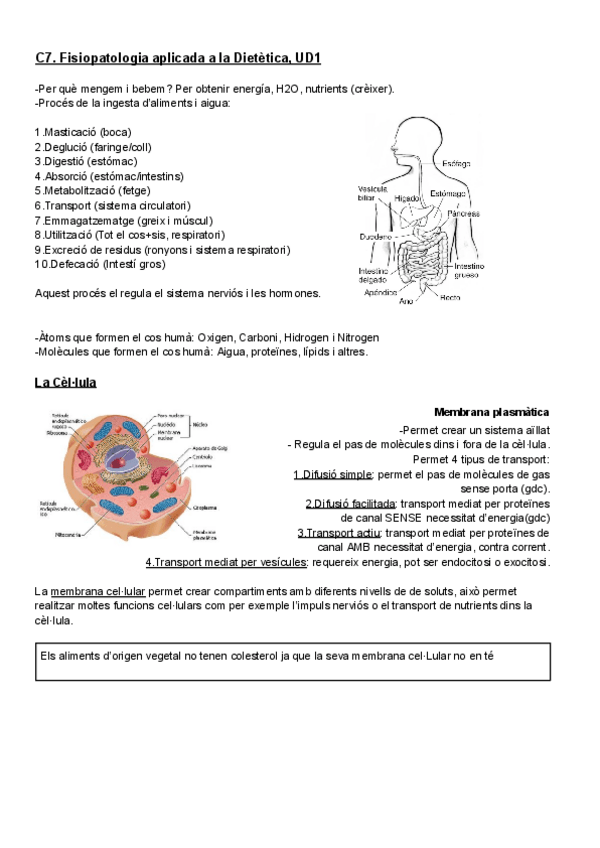 Miniatura del documento Resum-Bases-de-fisiologia-humana.pdf