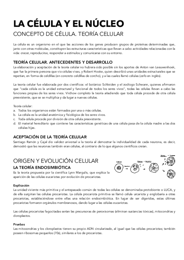 Miniatura del documento MItosis-y-meiosis. el núcleo..pdf