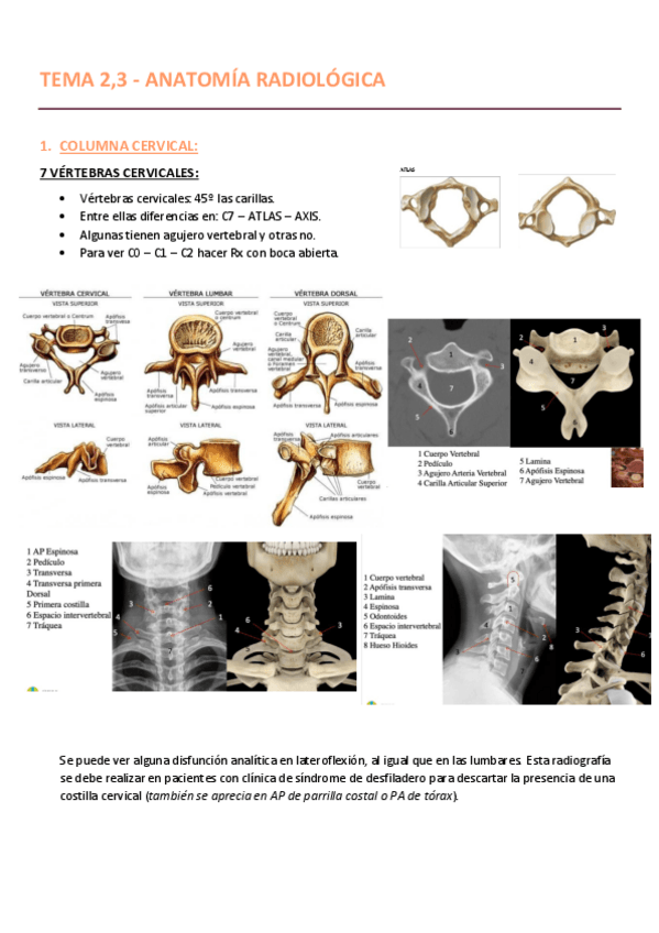 Miniatura del documento TEMA-23-PC.pdf