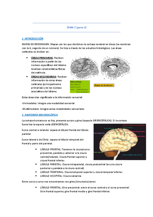 Miniatura del documento TEMA-7-parte-II-PSICOBIOLOGIA.pdf