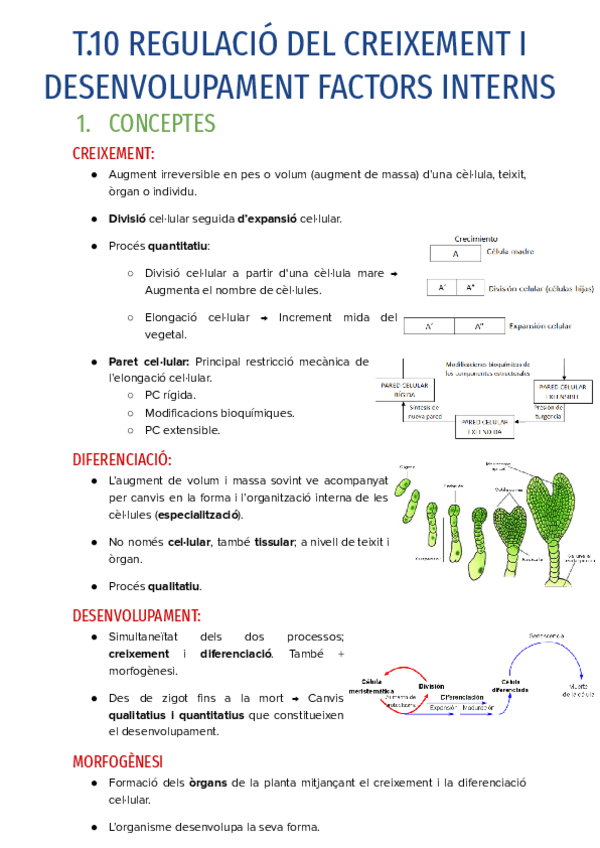 Miniatura del documento T.10-REGULACIO-DEL-CREIXEMENT-I-DESENVOLUPAMENT-FACTORS-INTERNS.pdf