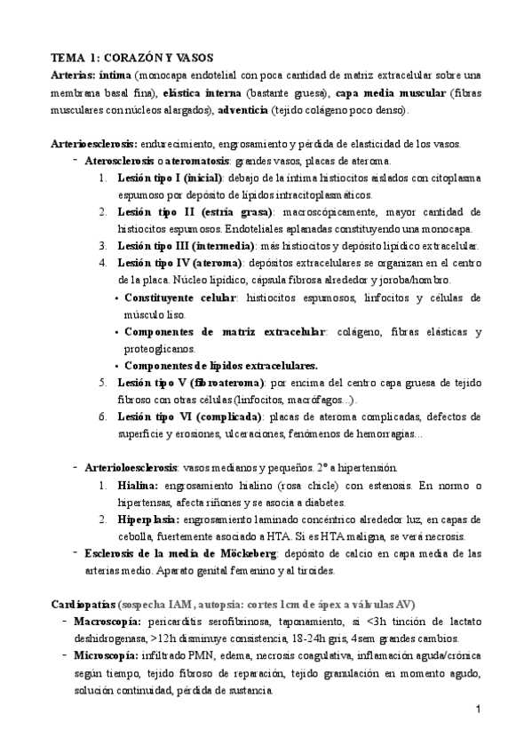 Miniatura del documento 1.pdf
