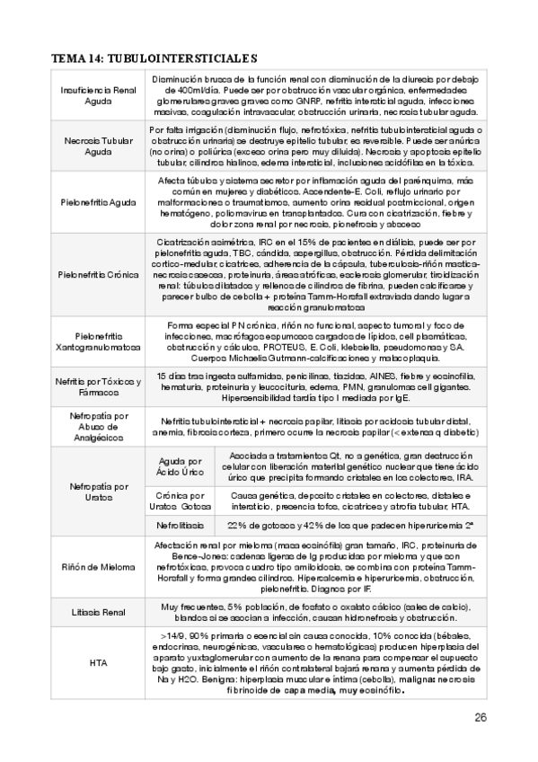 Miniatura del documento 13.pdf