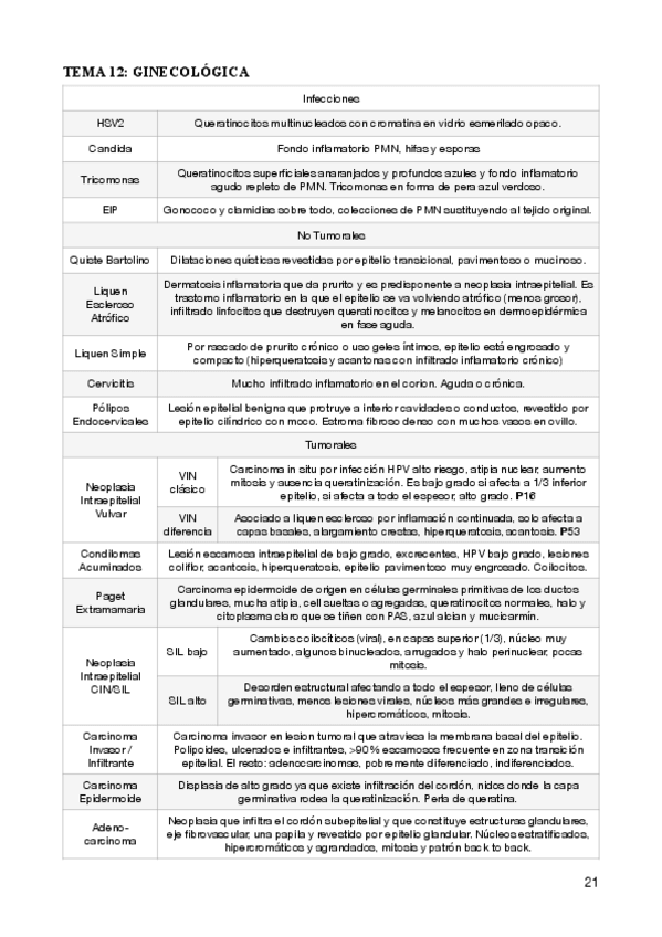 Miniatura del documento 11.pdf