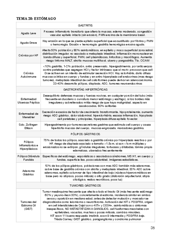 Miniatura del documento 17.pdf