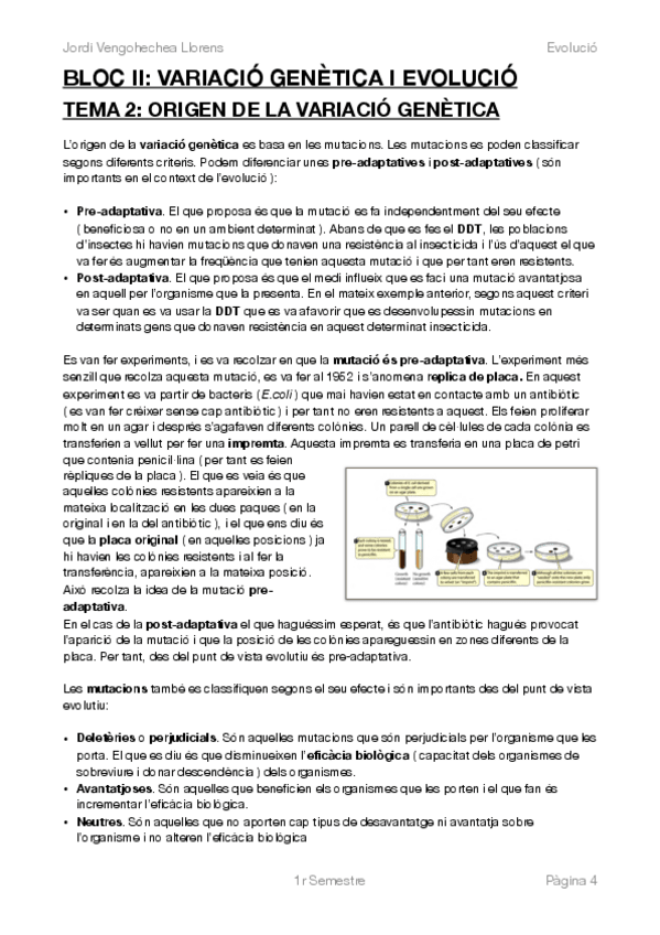 Miniatura del documento EVOLUCIÓ BLOC II.pdf
