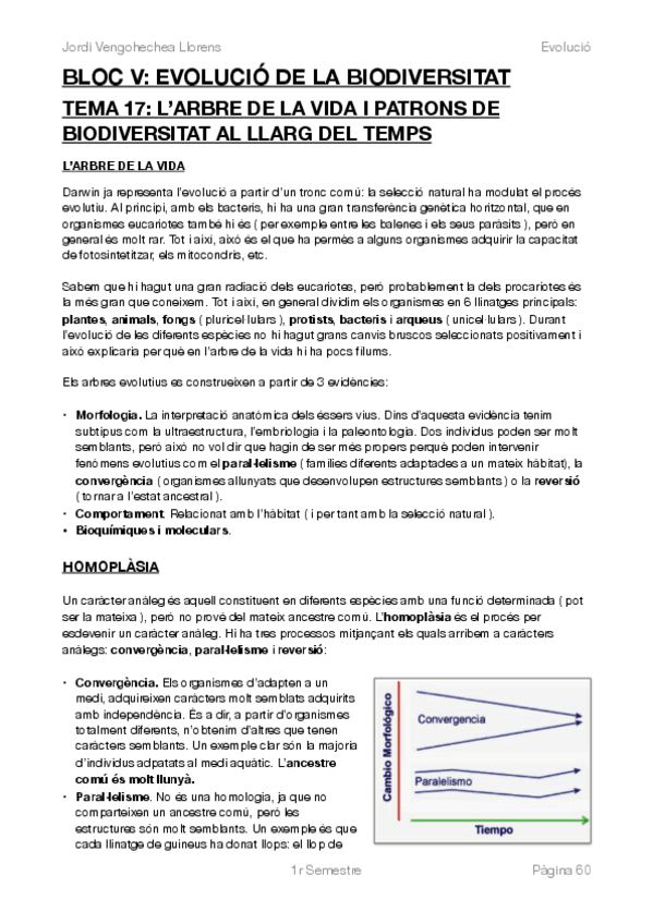 Miniatura del documento EVOLUCIÓ BLOC V.pdf
