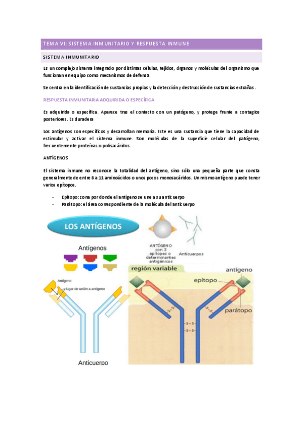 Miniatura del documento TEMA-6.pdf