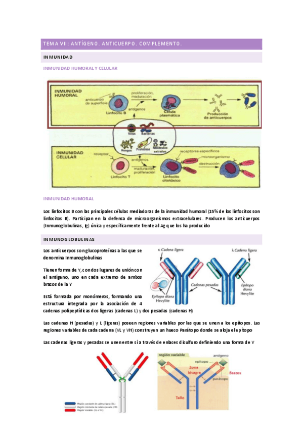 Miniatura del documento TEMA-7.pdf