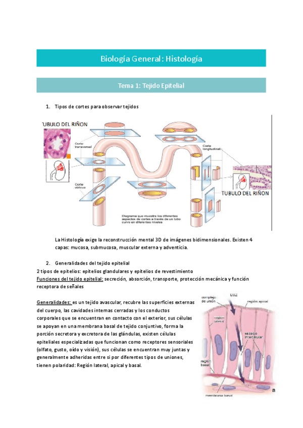 Miniatura del documento Bloque-Histologia.pdf