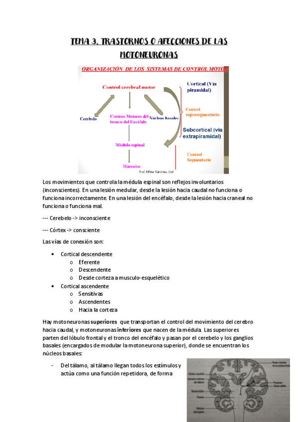 Miniatura del documento Tema-3-AFMQ-III.pdf
